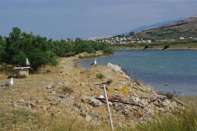 Eko stanje_1