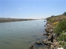 Eko stanje 2006_6